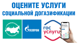 Оценка услуги социальной газификации в России